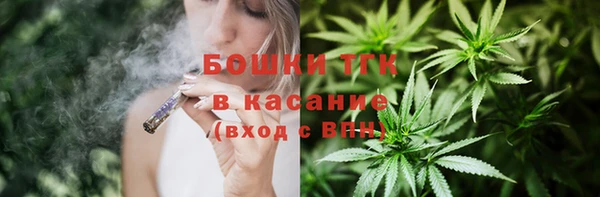 мдпв Магас