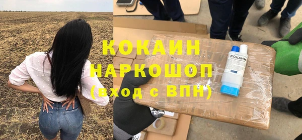 мдпв Магас