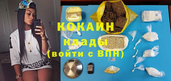 мдпв Магас